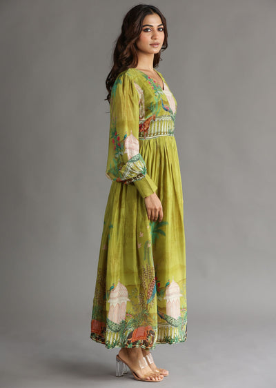Mehendi Green Chinnon Long Dress