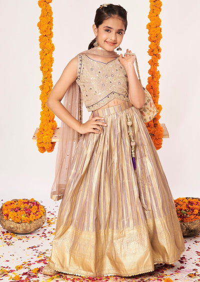 Fawn Tissue Lehenga