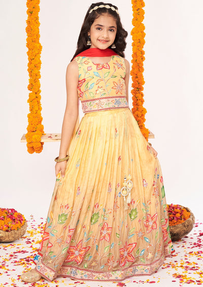 Biege Chinnon Lehenga