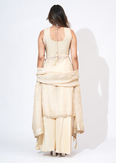 Beige Organza Sharara Set