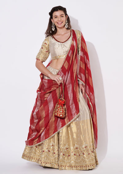 Beige Tissue Lehenga Set