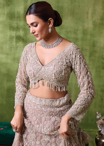 Beige Net Lehenga Set