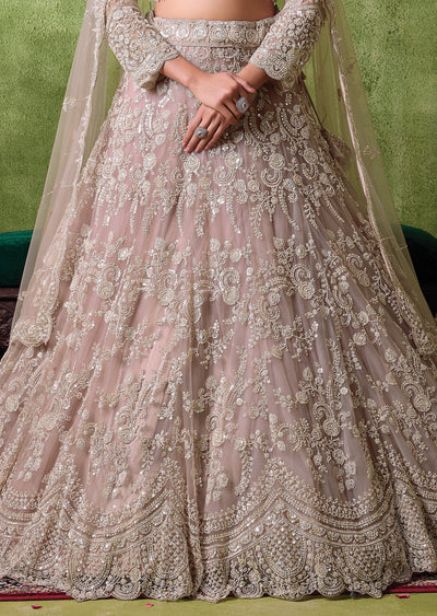 Beige Net Lehenga Set