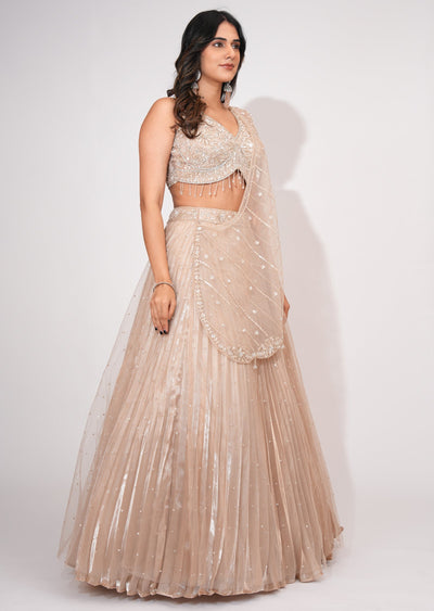 Beige Net Crop top Set