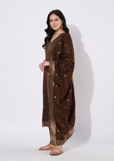 Brown Silk Straight cut suit