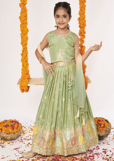 Mehendi Green Tissue Lehenga