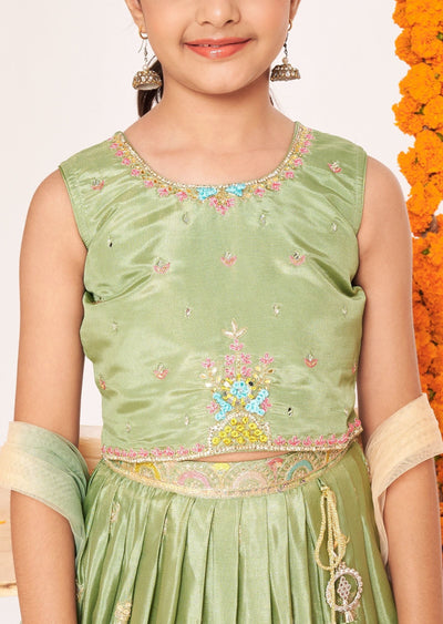 Mehendi Green Tissue Lehenga