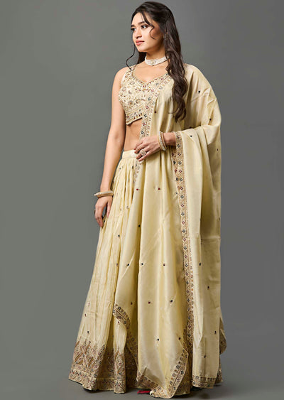 Beige Tissue Silk Lehenga