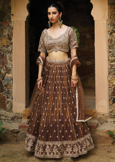 Brown Tissue Chiffon Lehenga Set