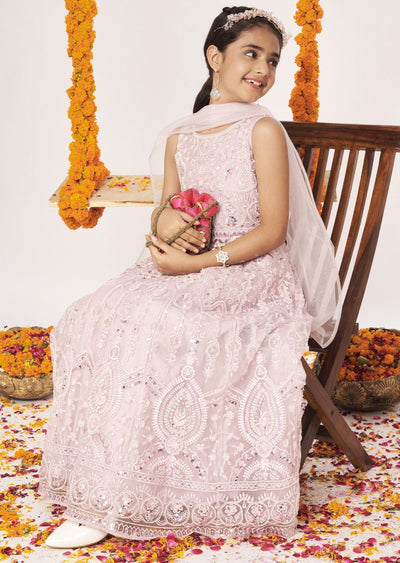 Pink Net Ethnic Gown