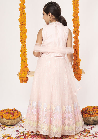 Pink Net Lehenga