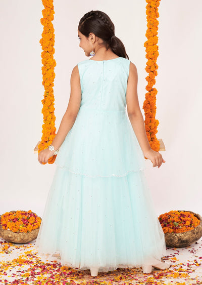 Light Blue Net Ethnic Gown