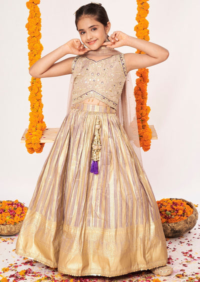 Fawn Tissue Lehenga