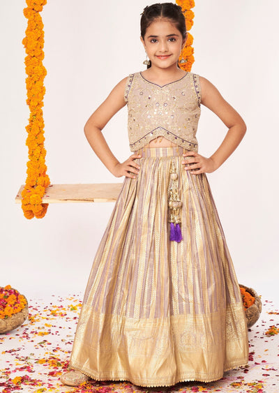 Fawn Tissue Lehenga