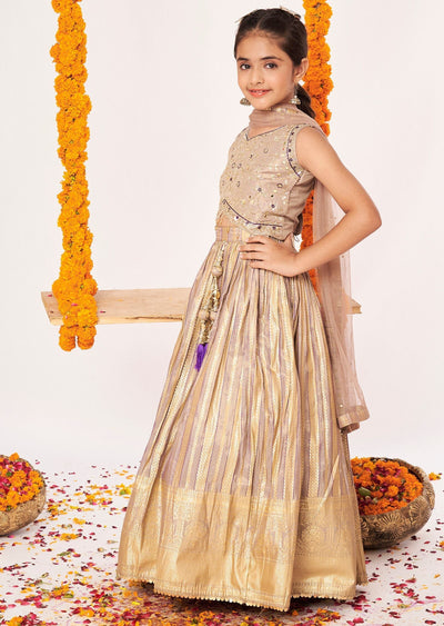 Fawn Tissue Lehenga
