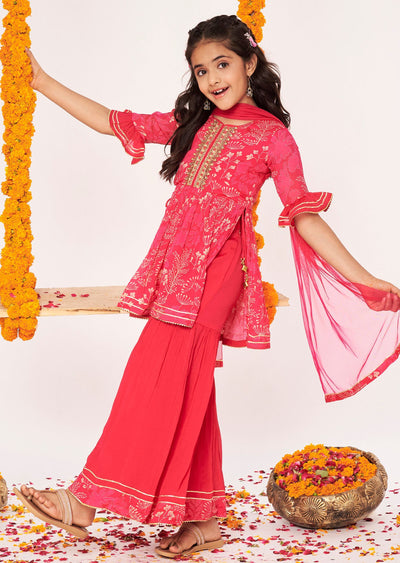 Rani Pink Chinnon Gharara Set