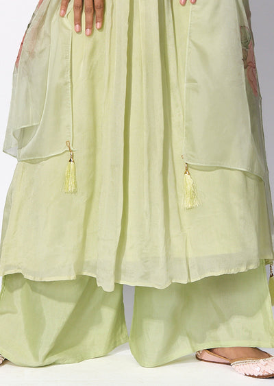 Light Green Chinnon Anarkali