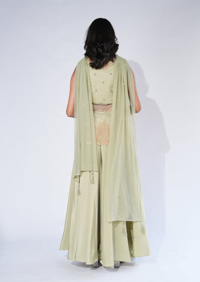 Green Net Sharara Set