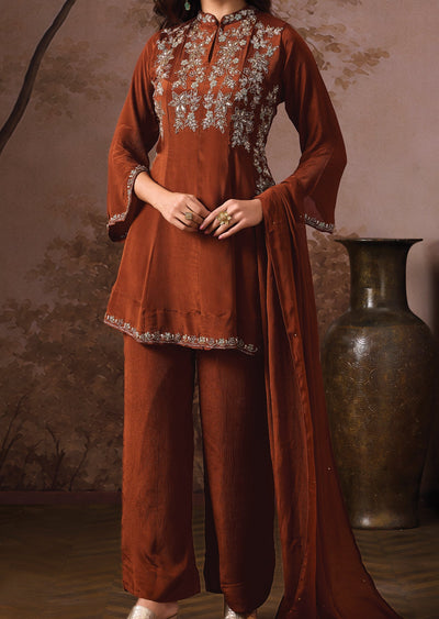 Brwon Chinnon Anarkali Suit