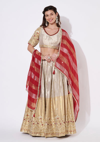 Beige Tissue Lehenga Set
