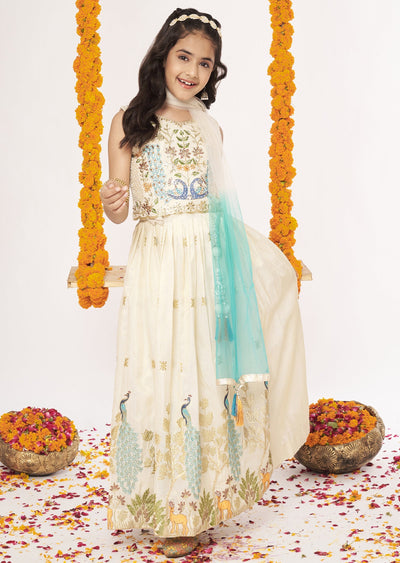 Biege Tissue Lehenga
