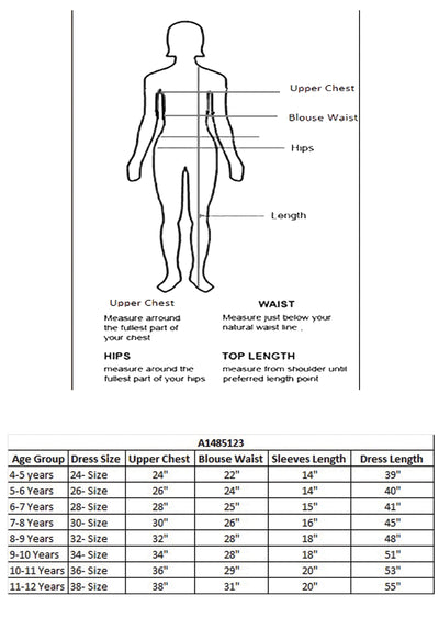 Pista Green Net Ethnic Gown