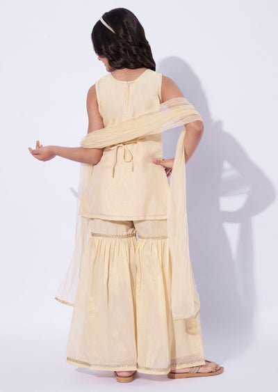 Beige Tissue Girls Sharara