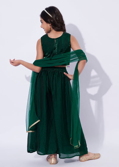 Green Tissue Girls Sharara