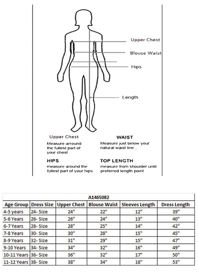 Blue Organza Ethnic Gown