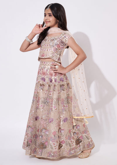 Beige Net Lehenga