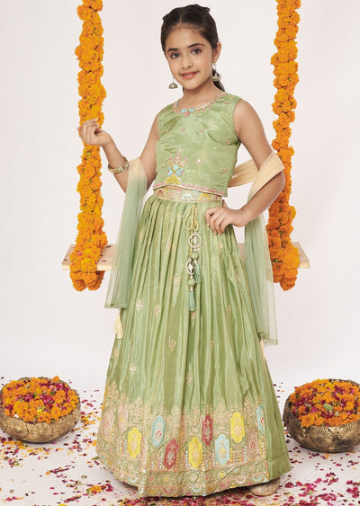 Mehendi Green Tissue Lehenga