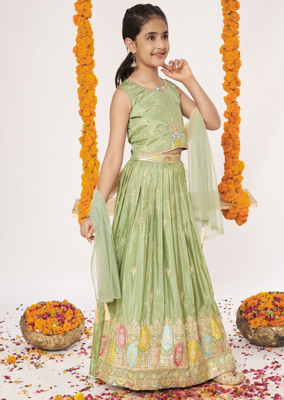 Mehendi Green Tissue Lehenga