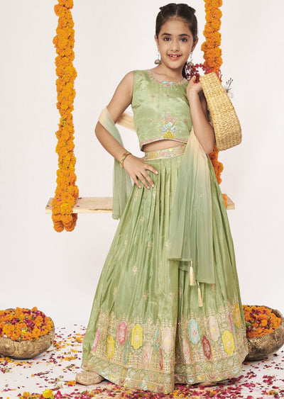Mehendi Green Tissue Lehenga