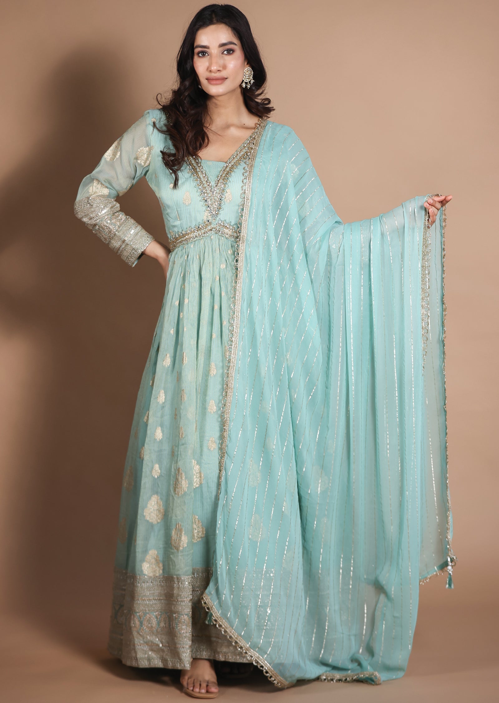 Light Green Tissue Organza Anarkali