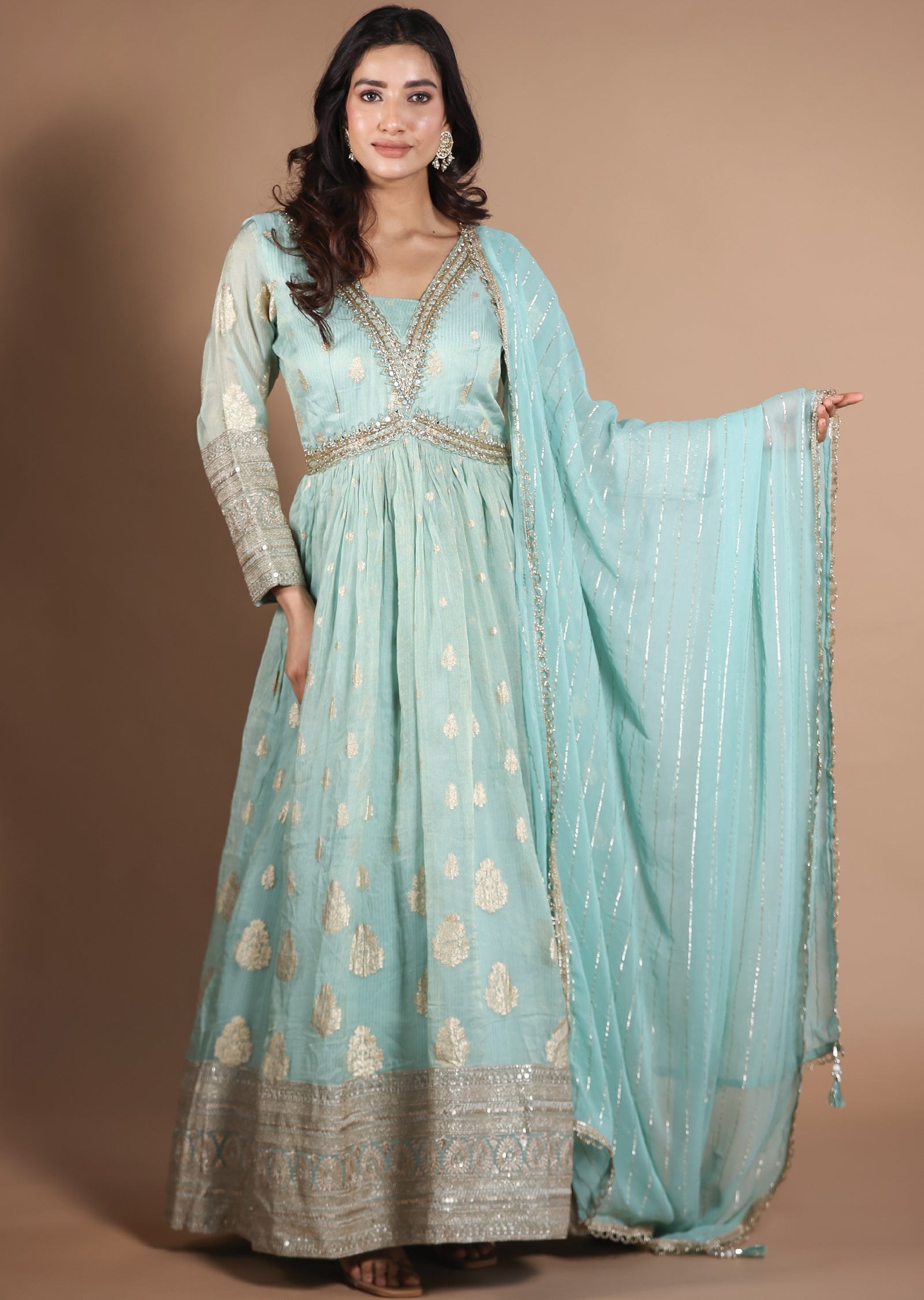 Light Green Tissue Organza Anarkali