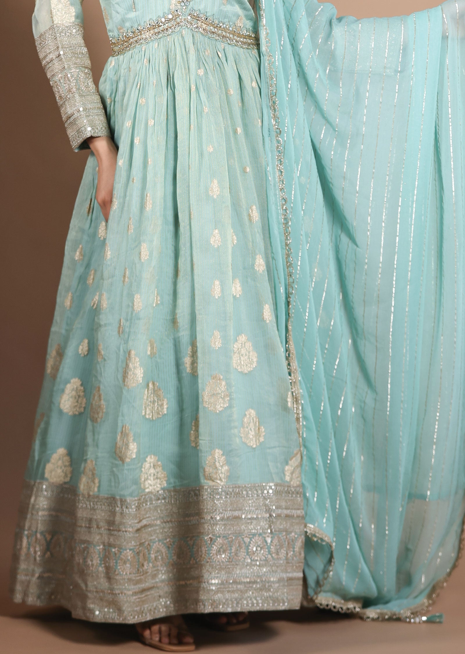 Light Green Tissue Organza Anarkali