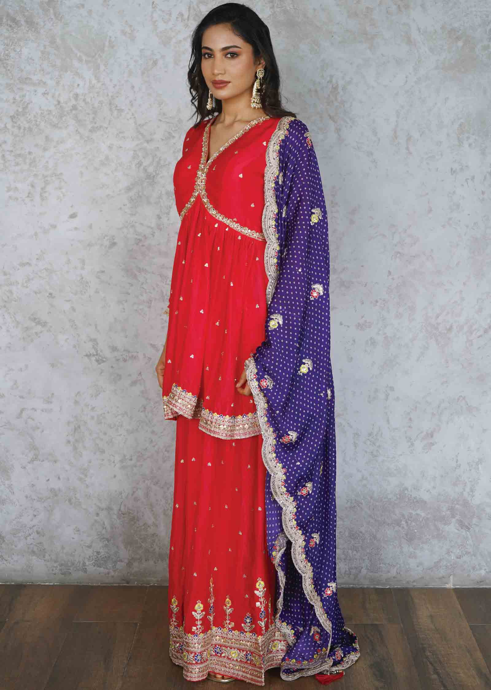 Pink/Purple Chinnon Embroidered Shararas/Ghararas