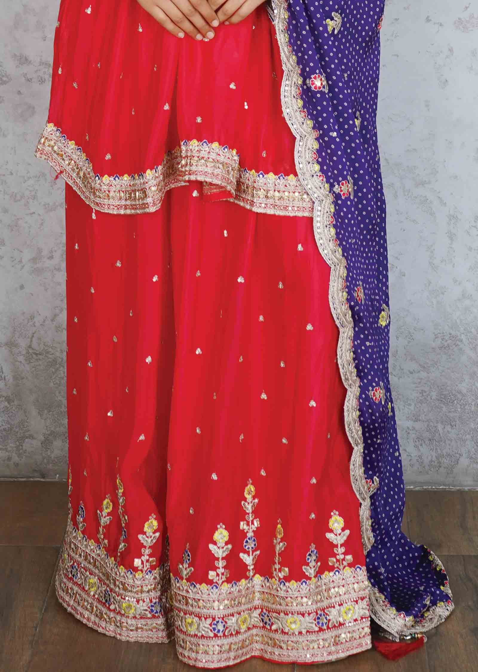 Pink/Purple Chinnon Embroidered Shararas/Ghararas