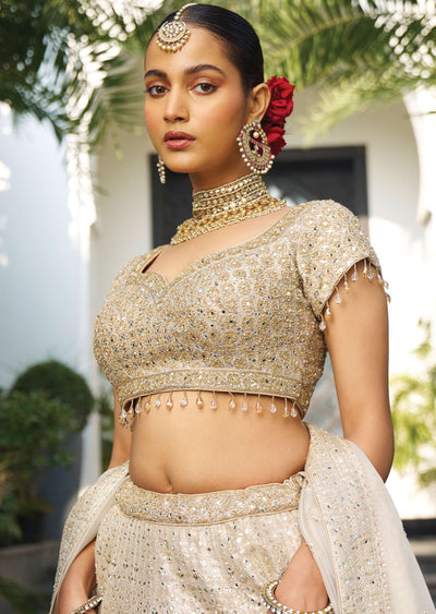 Beige Banarasi Tissue Silk Lehengas