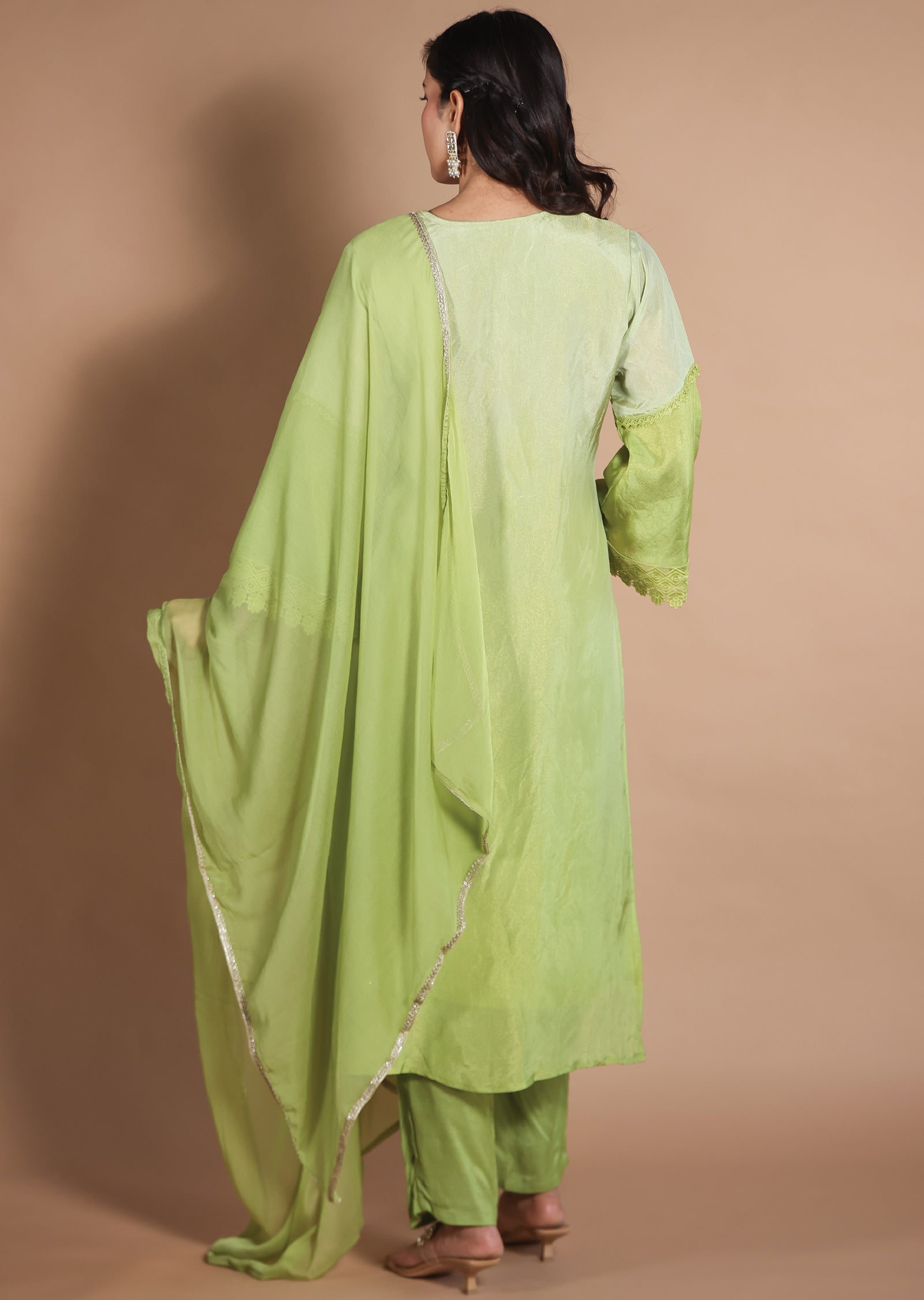 Pista & Parrot Green Banarasi Tissue Straight Cut suit