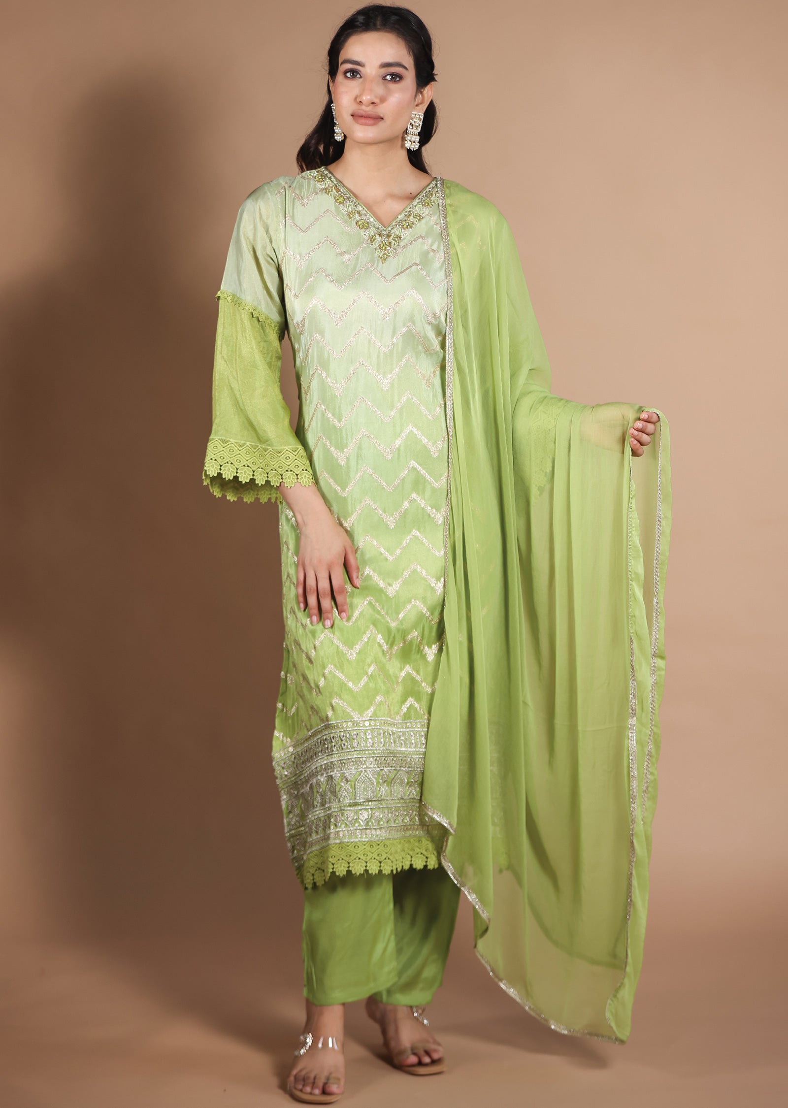 Pista & Parrot Green Banarasi Tissue Straight Cut suit