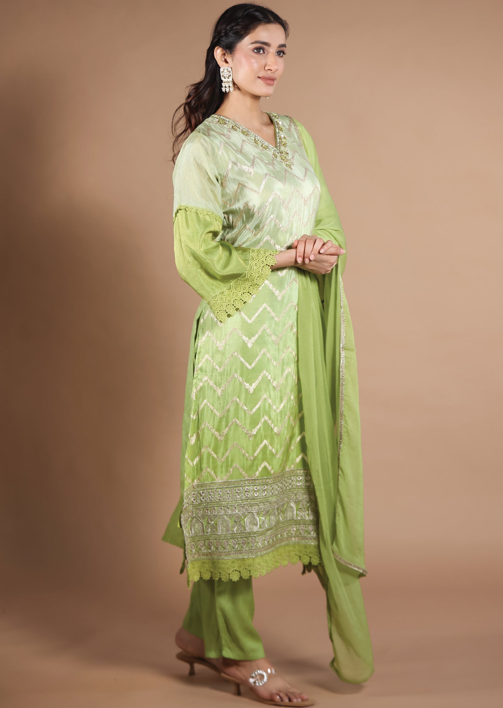 Pista & Parrot Green Banarasi Tissue Straight Cut suit