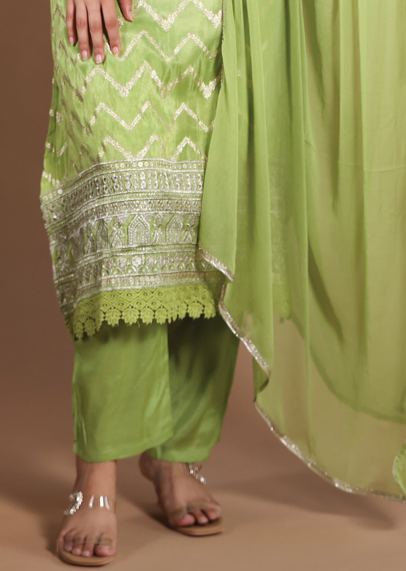 Pista & Parrot Green Banarasi Tissue Straight Cut suit